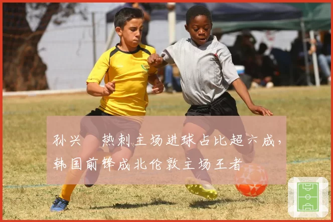 孙兴慜热刺主场进球占比超六成，韩国前锋成北伦敦主场王者