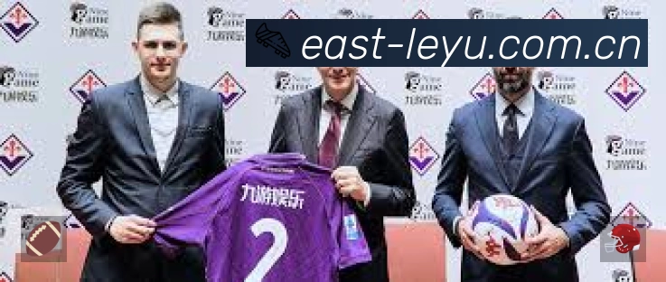 leyu站内搜索增强